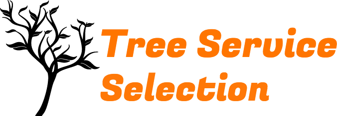 Tree Service Santa Cruz